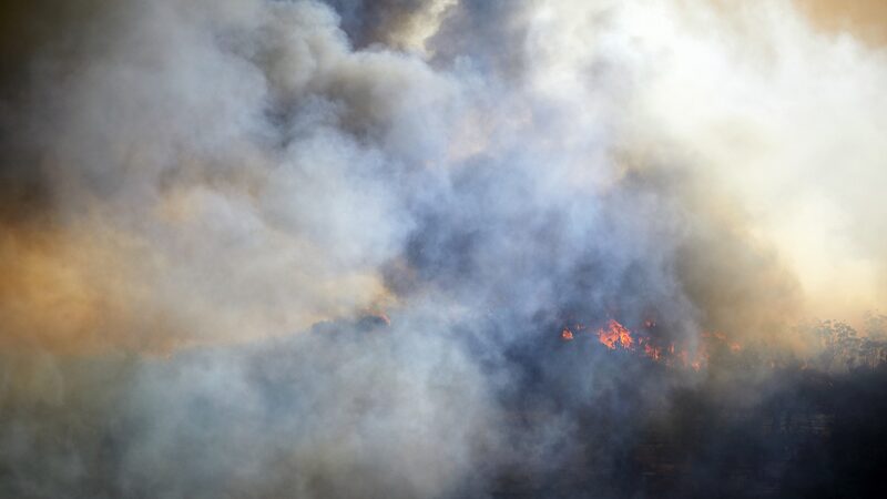 2023_24_Wildfire_Surge__Unprecedented_CO2_Emissions_Revealed