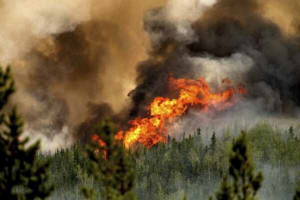 2023_Canadian_Wildfires_Emit_More_Carbon_Than_Many_Countries