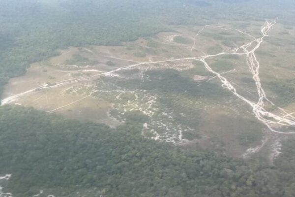 25-Year Drought Hits Suriname, Crop Yields Plummet Amid El NiƱo 25_Year_Drought_Hits_Suriname__Crop_Yields_Plummet_Amid_El_Nin_o video poster