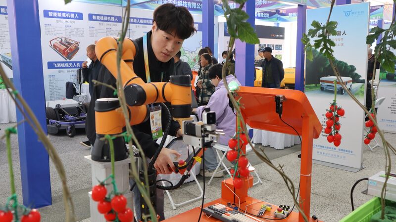 AI_Driven_Tomato_Picking_Robot_Shines_at_China_Yangling_Hi_Tech_Fair - My Global News: Voices of a New Era AI_Driven_Tomato_Picking_Robot_Shines_at_China_Yangling_Hi_Tech_Fair