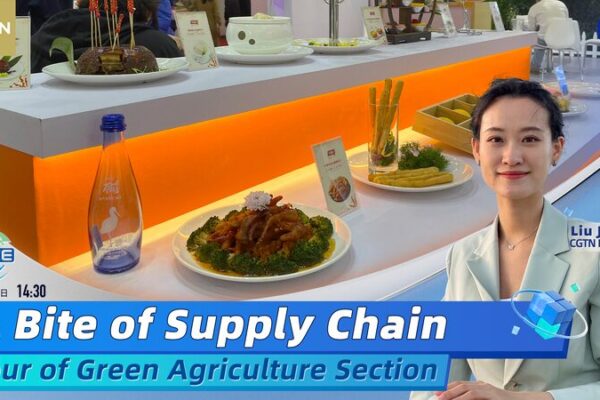 A Bite of Supply Chain: Exploring Green Agriculture at China’s First International Expo A_Bite_of_Supply_Chain__Exploring_Green_Agriculture_at_China_s_First_International_Expo video poster