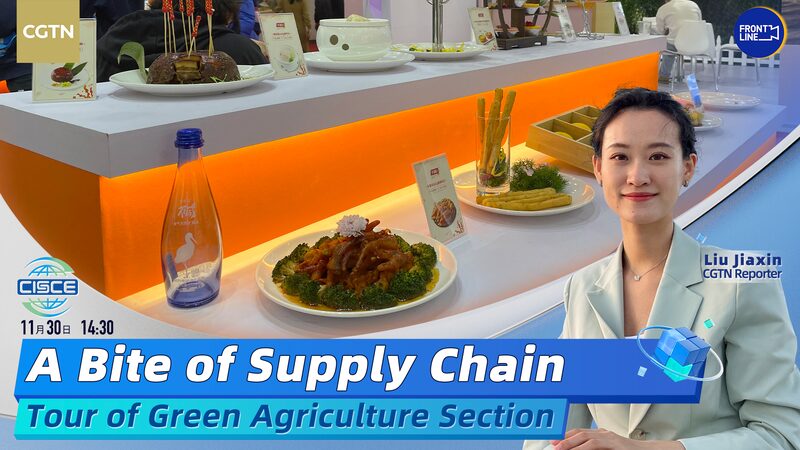 A_Bite_of_Supply_Chain__Exploring_Green_Agriculture_at_China_s_First_International_Expo video poster