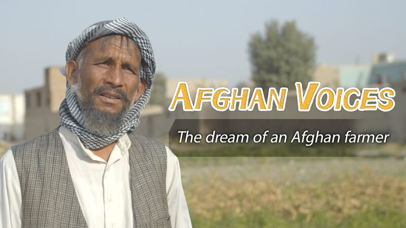 Afghan_Farmer_s_Resilience__Mohammad_Ashraf_s_Dream_for_a_United_Future_poster - My Global News: Voices of a New Era Afghan_Farmer_s_Resilience__Mohammad_Ashraf_s_Dream_for_a_United_Future video poster