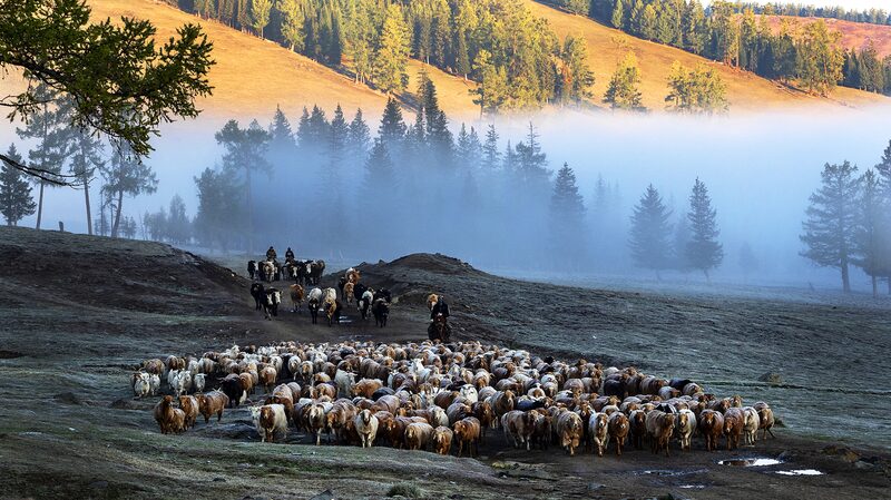 Altay_s_Pristine_Beauty_Shines_in_New_Chinese_Mini_Series