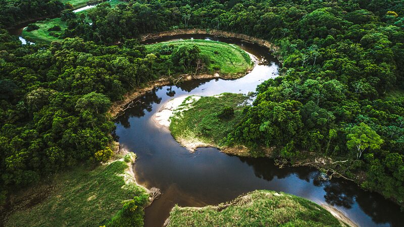 Amazon_Bioeconomy__Pioneering_Sustainable_Solutions_for_a_Thriving_Future
