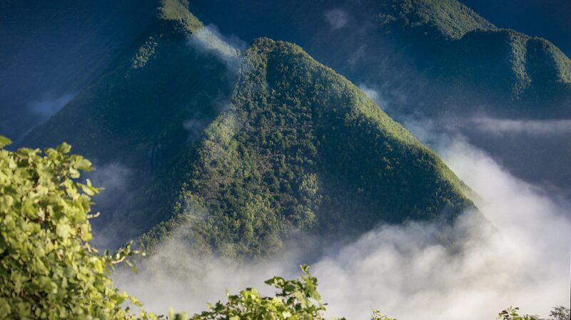 Ancient_Coral_Fossils_Reveal_Qinling_Mountains_Were_Once_a_Vast_Sea