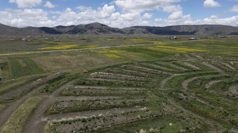 Andean Farmers Revive Ancient Waru Waru to Combat Climate Change Andean_Farmers_Revive_Ancient_Waru_Waru_to_Combat_Climate_Change video poster
