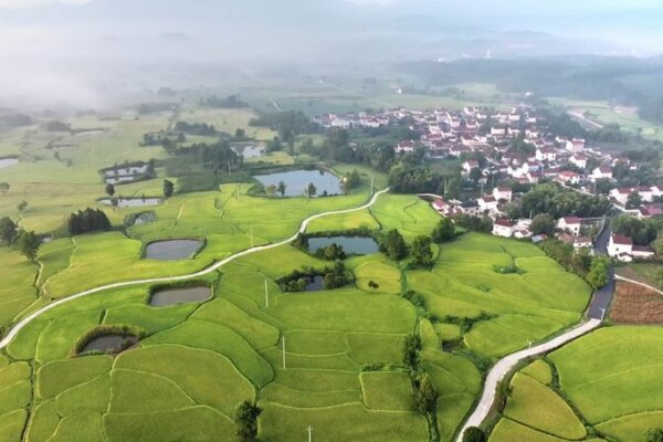 Anhui’s Stunning Rice Terraces Embrace Autumn Harvest Anhui_s_Stunning_Rice_Terraces_Embrace_Autumn_Harvest video poster