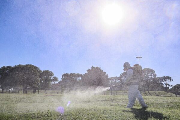 Argentina Surges Past 527K Dengue Cases in 2024 as Numbers Begin to Decline Argentina_Surges_Past_527K_Dengue_Cases_in_2024_as_Numbers_Begin_to_Decline