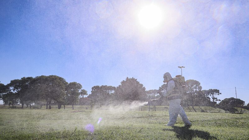 Argentina_Surges_Past_527K_Dengue_Cases_in_2024_as_Numbers_Begin_to_Decline