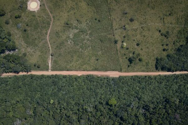 Armed Groups Block Colombia’s Efforts to Halt Amazon Deforestation Armed_Groups_Block_Colombia_s_Efforts_to_Halt_Amazon_Deforestation