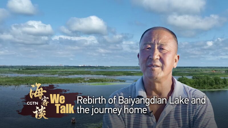 Baiyangdian_Lake_Reborn__A_Family_s_Journey_Home video poster