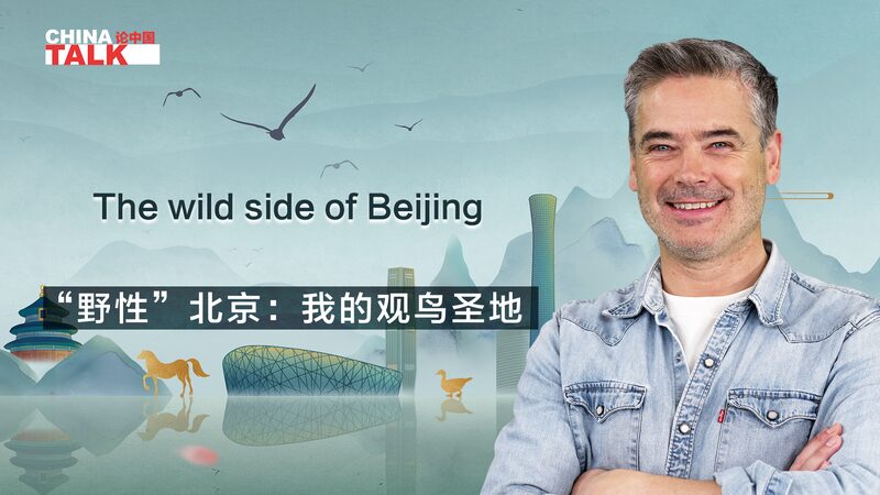 Beijing_s_Hidden_Haven__A_Birdwatcher_s_Paradise_poster - My Global News: Voices of a New Era Beijing_s_Hidden_Haven__A_Birdwatcher_s_Paradise video poster