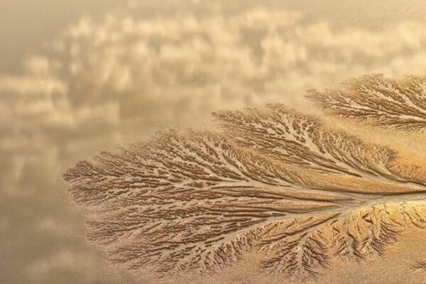 Best Time to Witness Qiantang River’s Stunning Tidal Trees Best_Time_to_Witness_Qiantang_River_s_Stunning_Tidal_Trees video poster
