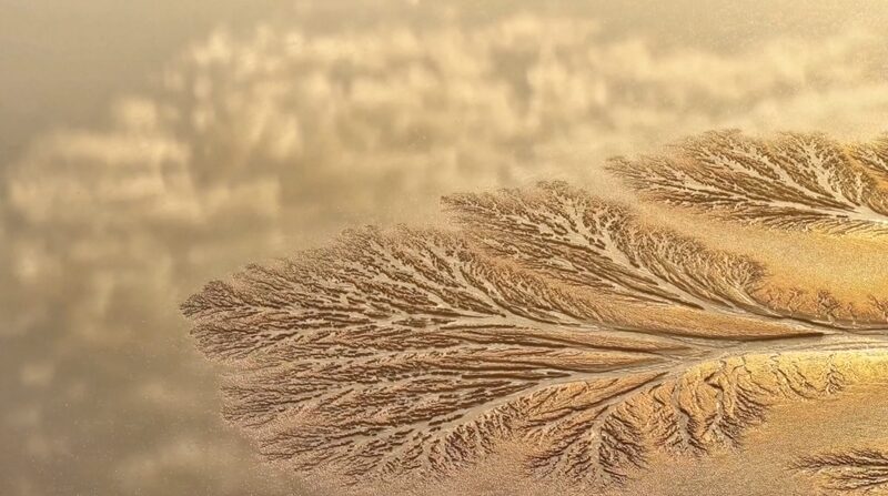 Best_Time_to_Witness_Qiantang_River_s_Stunning_Tidal_Trees video poster