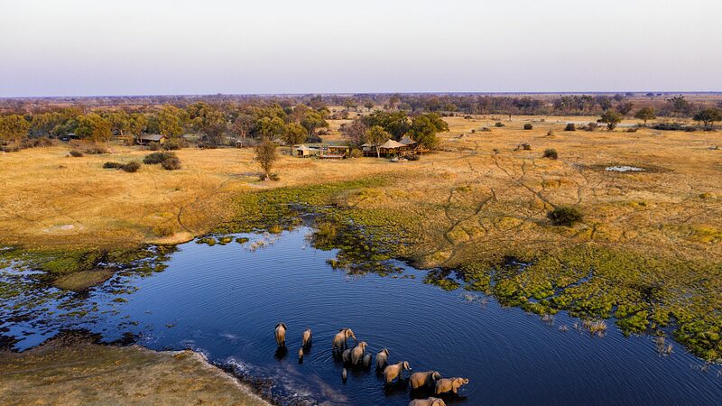 Botswana_Seeks_Sustainable_Solutions_to_Human_Wildlife_Conflict - My Global News: Voices of a New Era Botswana_Seeks_Sustainable_Solutions_to_Human_Wildlife_Conflict