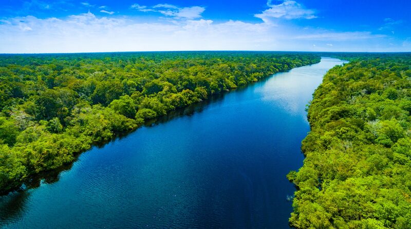 Brazil Sees 11.6% Drop in Deforestation in 2023 Brazil_Sees_11_6__Drop_in_Deforestation_in_2023