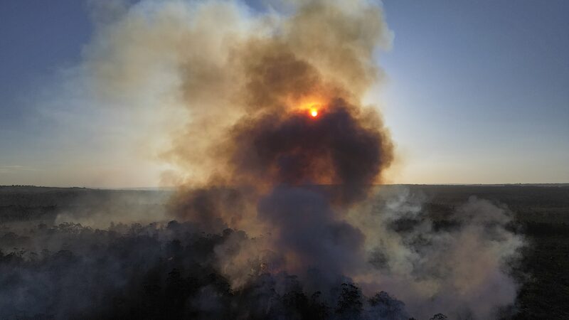 Brazil_s_Drought_Crisis__Over_1_000_Cities_Struggle_Amid_Fiery_Challenges