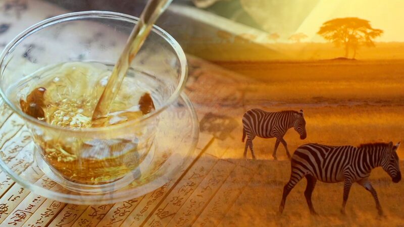 Brewing Bonds: AI Lyrics Celebrate China’s Tea Connections with Africa Brewing_Bonds__AI_Lyrics_Celebrate_China_s_Tea_Connections_with_Africa