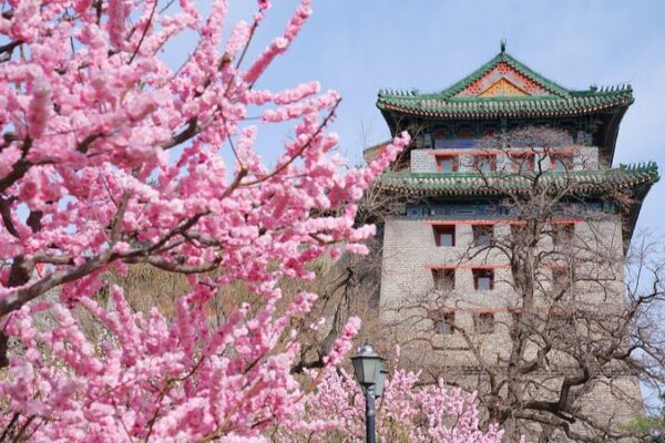 Captivating Spring: Journey Through the Chinese Mainland’s Blossoming Landscapes – Episode 7 Captivating_Spring__Journey_Through_the_Chinese_Mainland_s_Blossoming_Landscapes___Episode_7 video poster