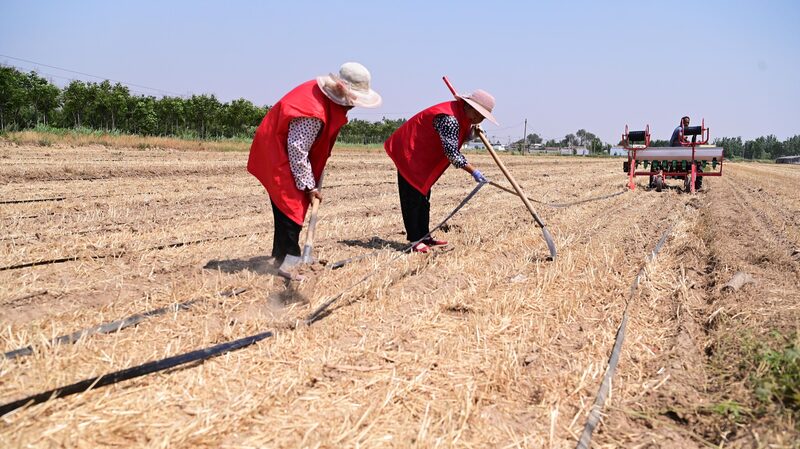 Central_and_Northern_China_Grapples_with_Intense_Drought_and_Record_Temperatures