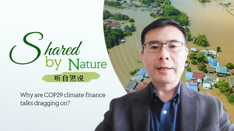 Challenges_Persist_as_COP29_Strives_to_Set_New_Climate_Finance_Targets video poster