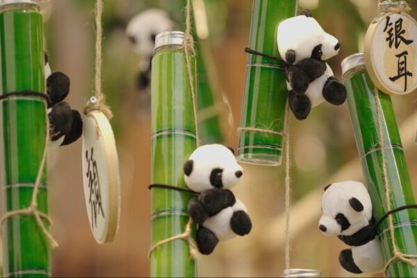 Chengdu’s Charm: The Fiery Delights of Hot Pot and the Tranquil Rituals of Tea Chengdu_s_Charm__The_Fiery_Delights_of_Hot_Pot_and_the_Tranquil_Rituals_of_Tea video poster