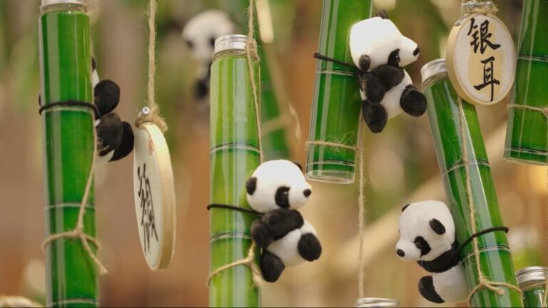 Chengdu_s_Charm__The_Fiery_Delights_of_Hot_Pot_and_the_Tranquil_Rituals_of_Tea video poster