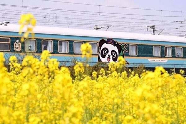 Chengdu’s Panda-Themed Train Embarks on Exciting Qingdao Journey Chengdu_s_Panda_Themed_Train_Embarks_on_Exciting_Qingdao_Journey