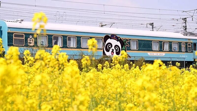 Chengdu_s_Panda_Themed_Train_Embarks_on_Exciting_Qingdao_Journey - My Global News: Voices of a New Era Chengdu_s_Panda_Themed_Train_Embarks_on_Exciting_Qingdao_Journey
