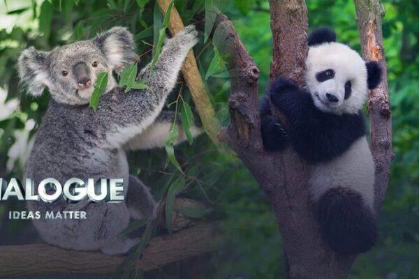 China-Australia Dialogue Resumes: A Step Towards Mending Ties China_Australia_Dialogue_Resumes__A_Step_Towards_Mending_Ties video poster