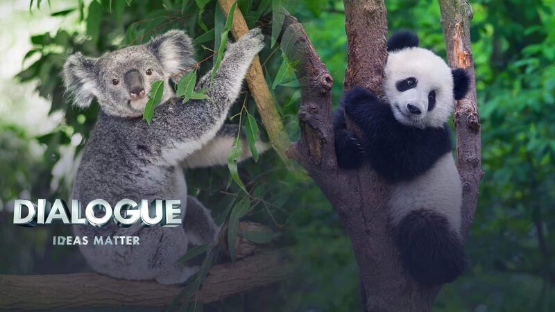 China_Australia_Dialogue_Resumes__A_Step_Towards_Mending_Ties video poster