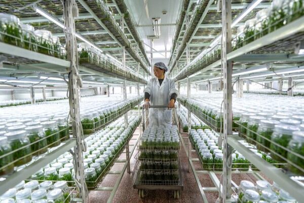 China Celebrates 3 Years of Poverty Alleviation Triumph: A Model for Sustainable Development China_Celebrates_3_Years_of_Poverty_Alleviation_Triumph__A_Model_for_Sustainable_Development