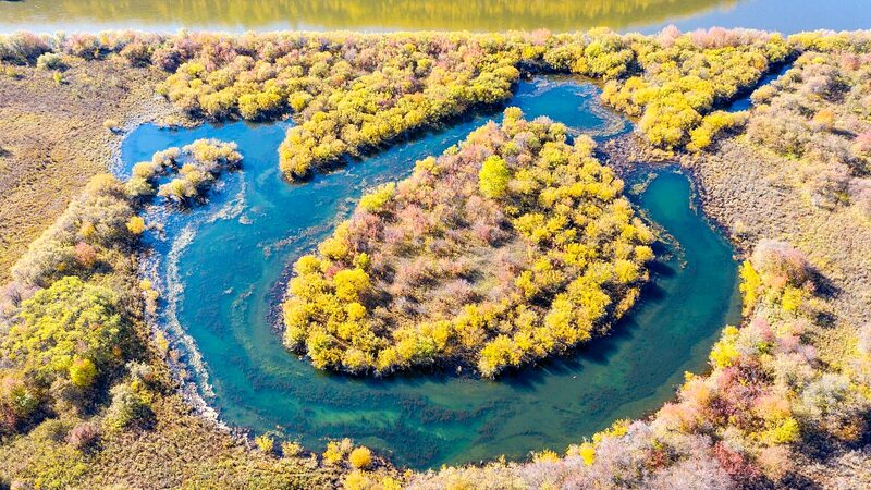 China_Celebrates_World_Wetlands_Day__Ensuring_Healthier_Wetlands_for_a_Better_Future