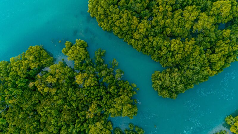 China_EU_Team_Up_for_a_Greener_Future__New_Report_Highlights_Climate_Collaboration - My Global News: Voices of a New Era China_EU_Team_Up_for_a_Greener_Future__New_Report_Highlights_Climate_Collaboration