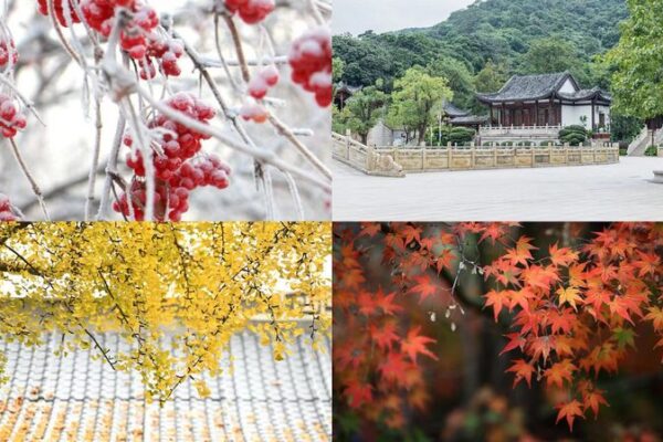China Embraces Early Winter Beauty as Minor Snow Makes Its Mark China_Embraces_Early_Winter_Beauty_as_Minor_Snow_Makes_Its_Mark video poster