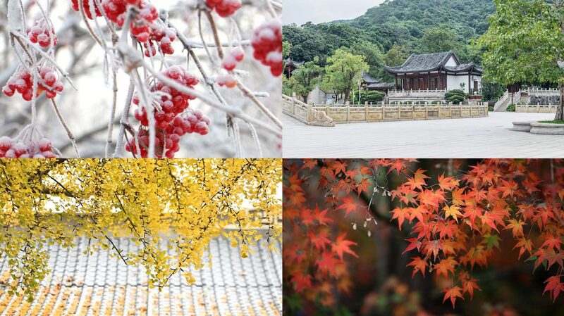 China_Embraces_Early_Winter_Beauty_as_Minor_Snow_Makes_Its_Mark video poster