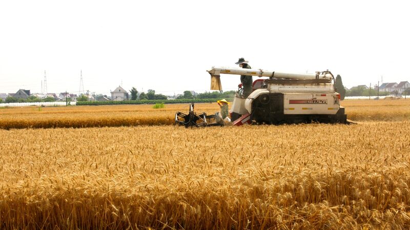 China Enhances National Grain Storage, Surpasses 700 Million Tonnes in 2023 China_Enhances_National_Grain_Storage__Surpasses_700_Million_Tonnes_in_2023