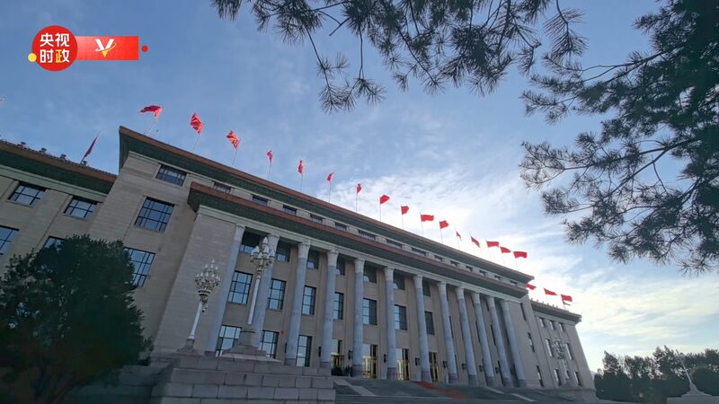 China_Hosts_President_Zardari_in_Beijing_for_State_Ceremony