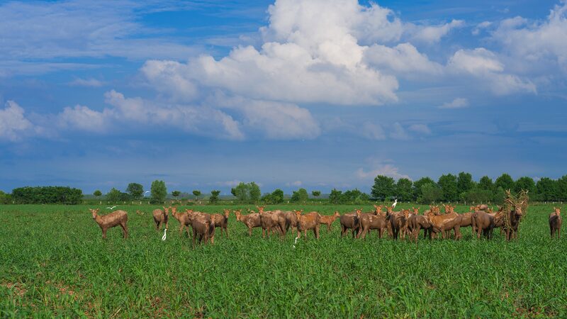 China_Introduces_Pioneering_National_Park_Law