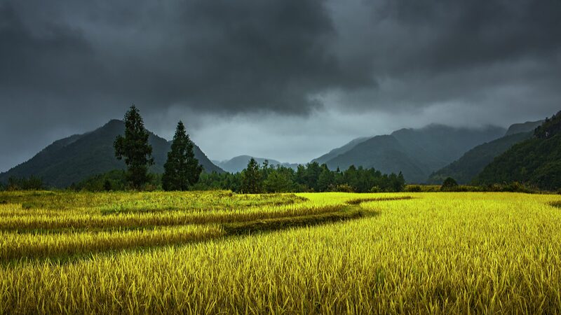 China_Issues_Renewed_Blue_Alert_as_Heavy_Rainstorms_Hit_Multiple_Provinces