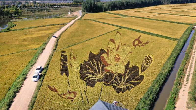 China_Launches_Comprehensive_Reforms_to_Revitalize_Northeast_Region