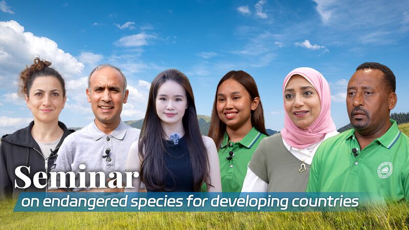 China_Leads_Global_Efforts_on_Ecological_Conservation__Insights_from_International_Seminar video poster