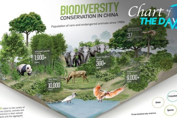 China Leads the Charge on Biodiversity Conservation China_Leads_the_Charge_on_Biodiversity_Conservation