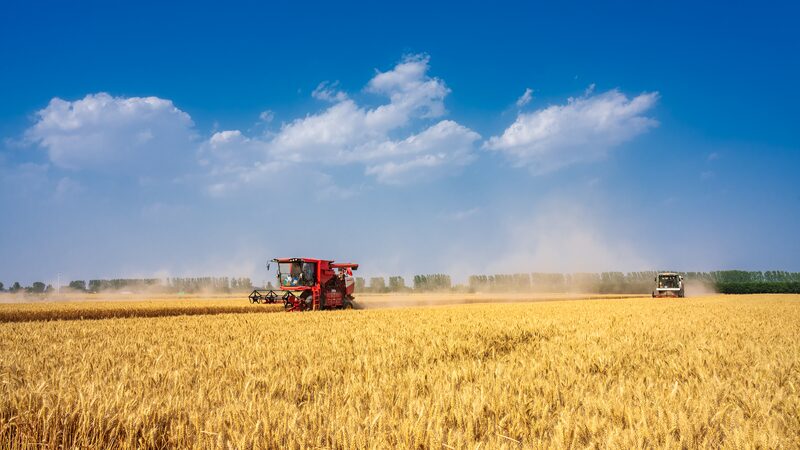 China_Makes_Significant_Advances_in_Sustainable_Agricultural_Development - My Global News: Voices of a New Era China_Makes_Significant_Advances_in_Sustainable_Agricultural_Development