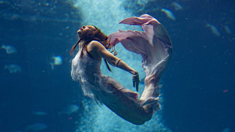 China_Mermaid_Open_Final_Ends_in_Triumph_at_Atlantis_Sanya_poster - My Global News: Voices of a New Era China_Mermaid_Open_Final_Ends_in_Triumph_at_Atlantis_Sanya video poster