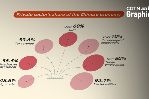 China Pledges Support for Private Sector Innovation and Growth China_Pledges_Support_for_Private_Sector_Innovation_and_Growth