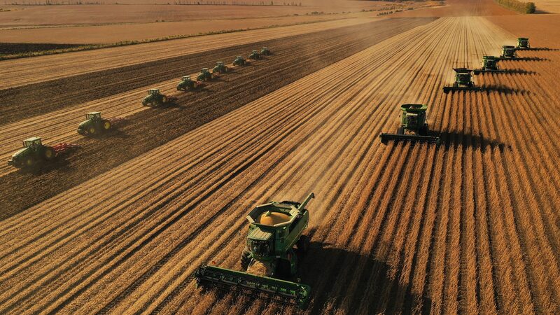 China_Set_to_Achieve_Record_Grain_Output_of_Over_700_Million_Tonnes_in_2024 - My Global News: Voices of a New Era China_Set_to_Achieve_Record_Grain_Output_of_Over_700_Million_Tonnes_in_2024