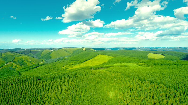 China_Showcases_Saihanba_s_Green_Miracle_at_COP16_2024 video poster