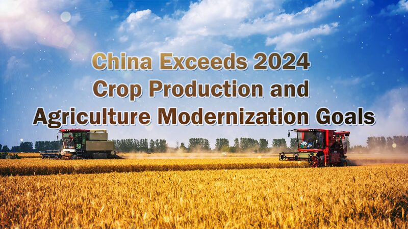 China_Surpasses_2024_Agricultural_Modernization_Goals video poster